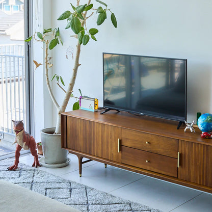 JULIE TVBOARD 2000 -Damege品-